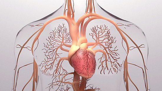 How good is your cardiometabolic health — and what is that, anyway? featured image