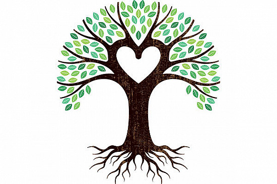 Close relationships with neighbors influence cardiovascular health in Black adults featured image