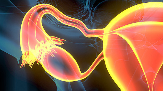 Preventing ovarian cancer: Should women consider removing fallopian tubes? featured image