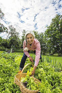 Gardening may bring a harvest of health benefits featured image