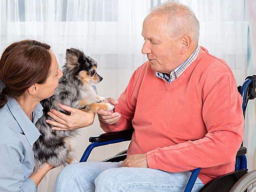 The rising tide of dementia and the need for nondrug therapies featured image
