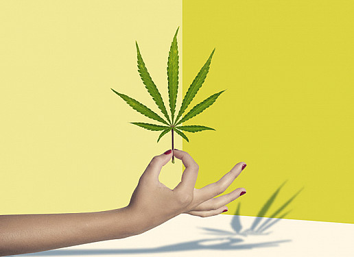 Are women turning to cannabis for menopause symptom relief? featured image