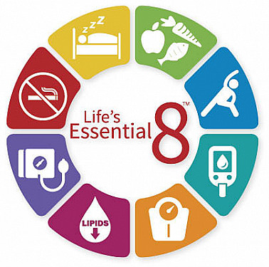 The Essential 8: Enhanced advice for a healthy heart featured image