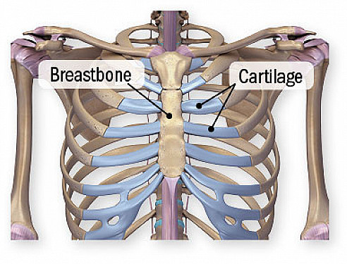 Chest pain from inflamed joints featured image