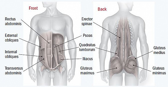 Getting to the core of your health featured image